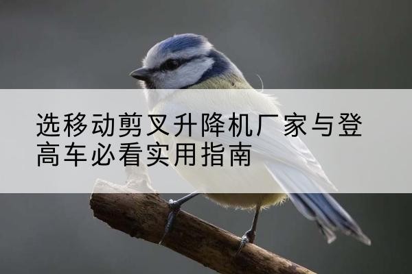 振安电动升降机厂家-选移动剪叉升降机厂家与登高车必看实用指南
