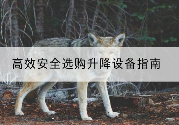 振安升降货梯厂家推荐-*安全选购升降设备指南