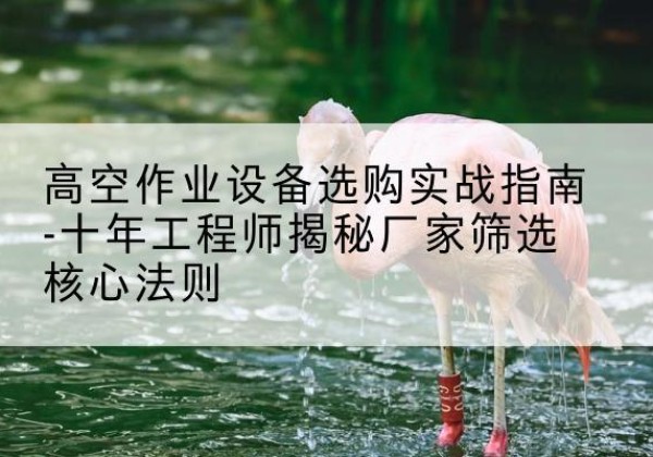 振安剪叉式升降机厂家-高空作业设备选购实战指南-十年工程师揭秘厂家筛选核心法则